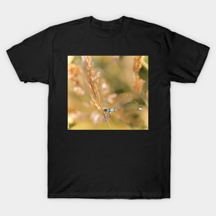 YOUR GRASSES SUPPORT US T-Shirt